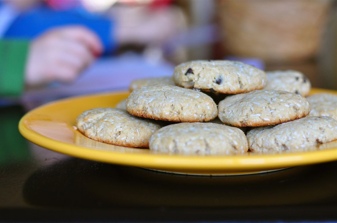 Grain-Free Vegan Banana Coconut Cookies