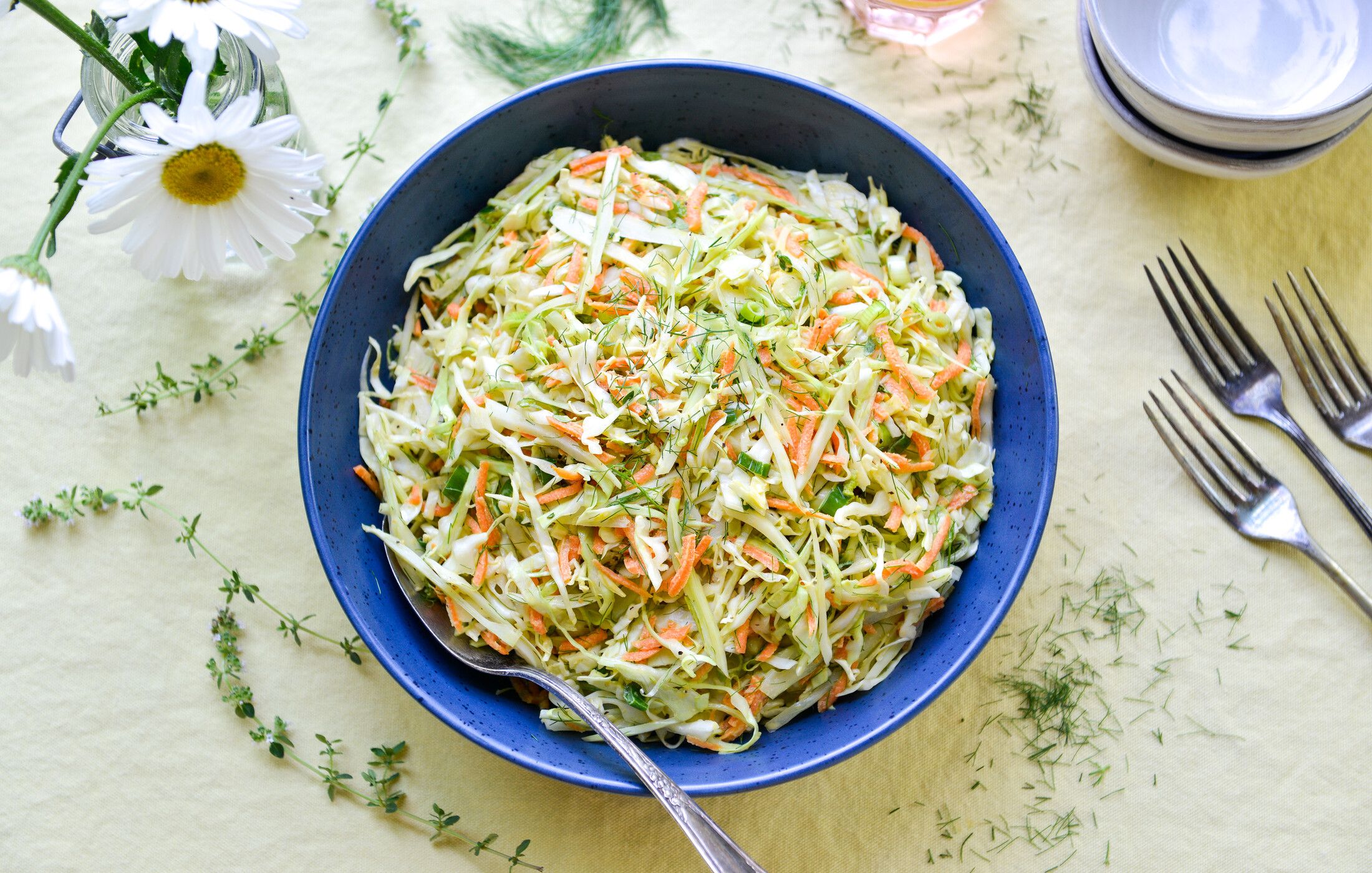 Fennel Coleslaw-1