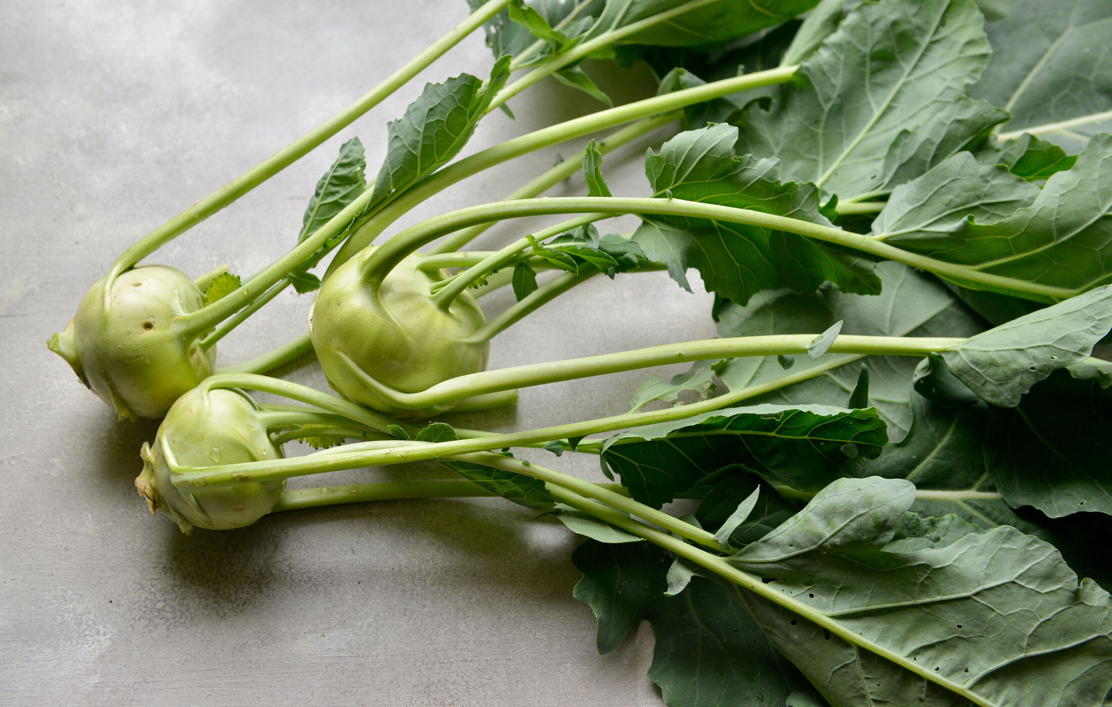 FRESH GARDEN KOHLRABI-1