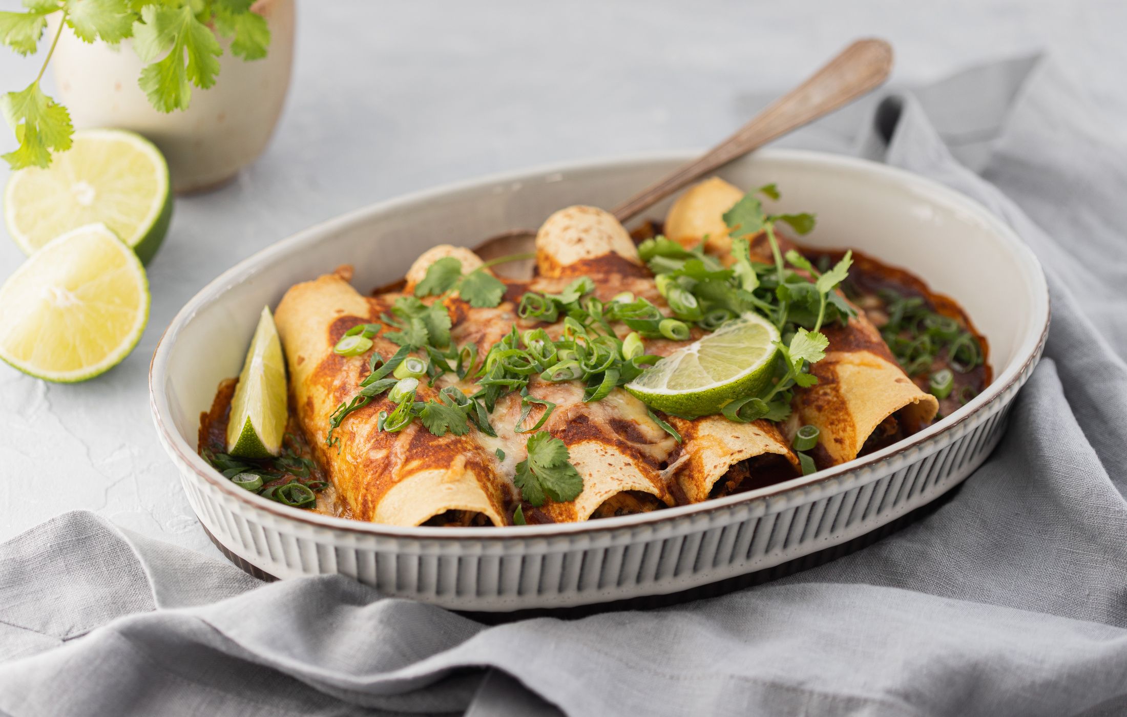 Low-FODMAP Chicken and Kale Enchiladas-2