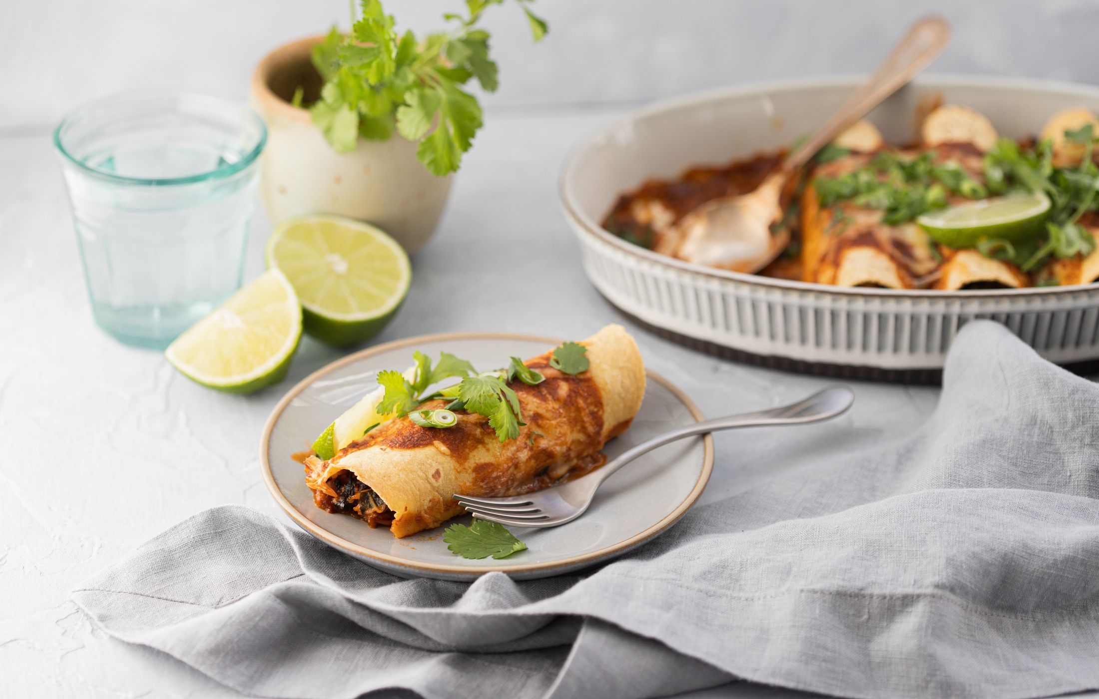 Low-FODMAP Chicken and Kale Enchiladas-3