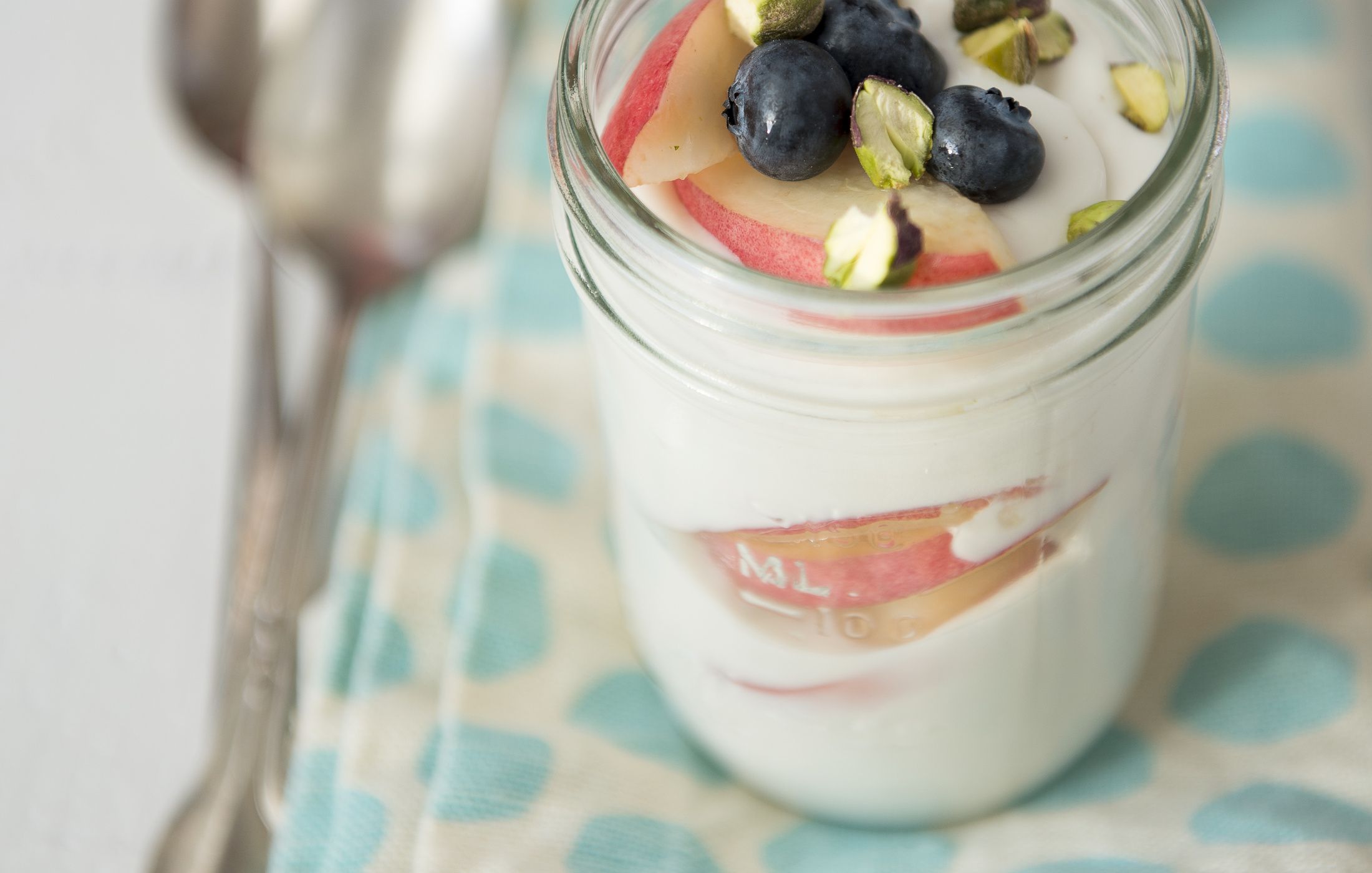 Coconut Milk Yogurt