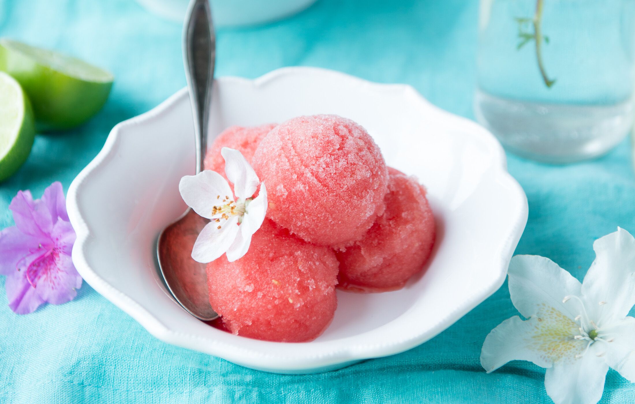 Sugar-Free Watermelon Sorbet