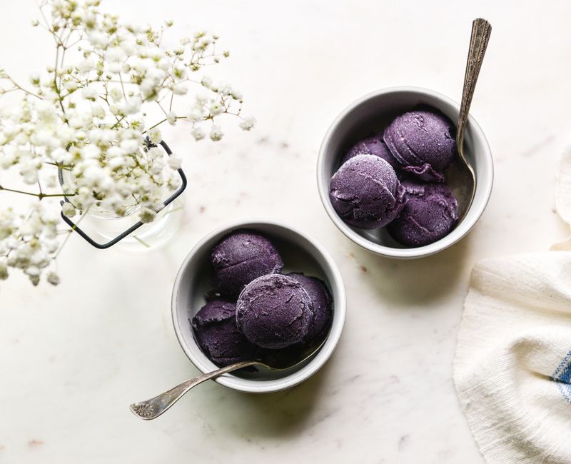 ANTI-INFLAMMATORY BLUEBERRY SORBET SUGAR-FREE-1