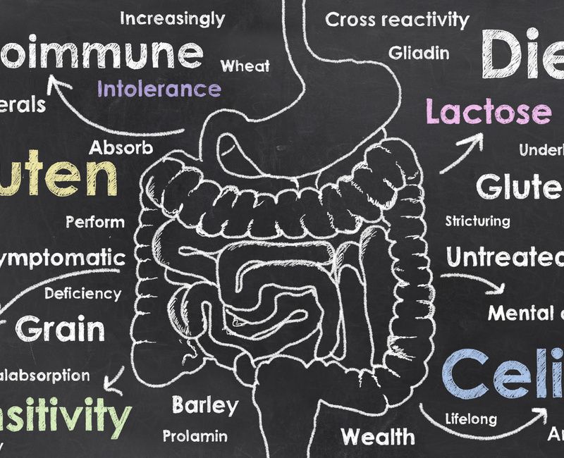 GUT INFLAMMATION-CHALKBOARD-1