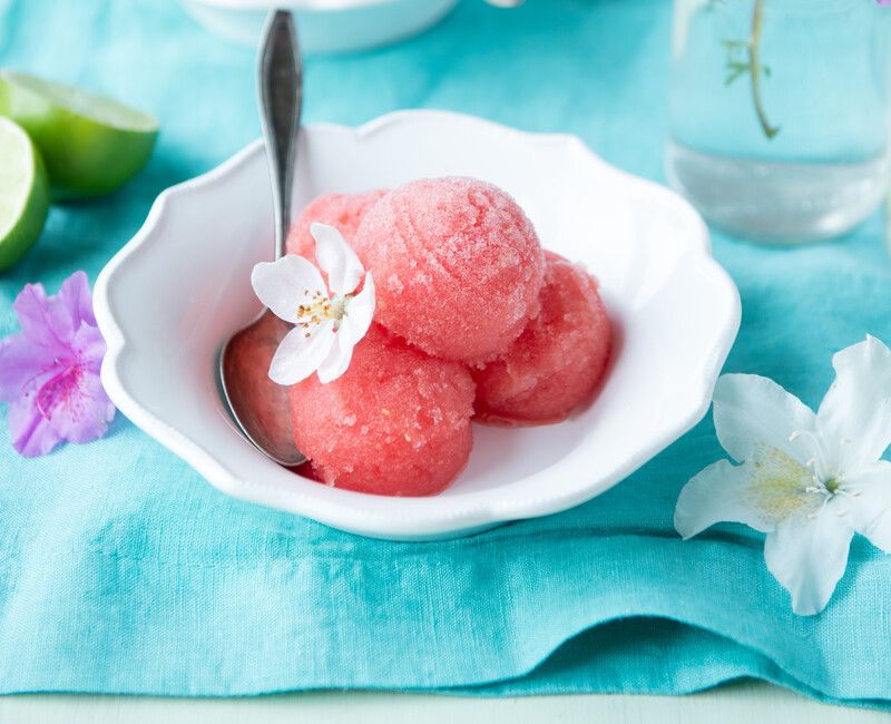 Sugar-Free Watermelon Sorbet